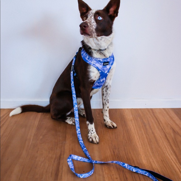 Mighty Milo | Marble Harness | Adjustable | Various Sizes - Picture 3 of 4
